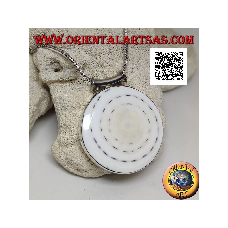 Ciondolo in argento con gasteropode tonda grande su montatura liscia laterale e gancio tubolare