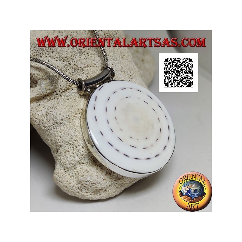 Ciondolo in argento con gasteropode tonda grande su montatura liscia laterale e gancio tubolare