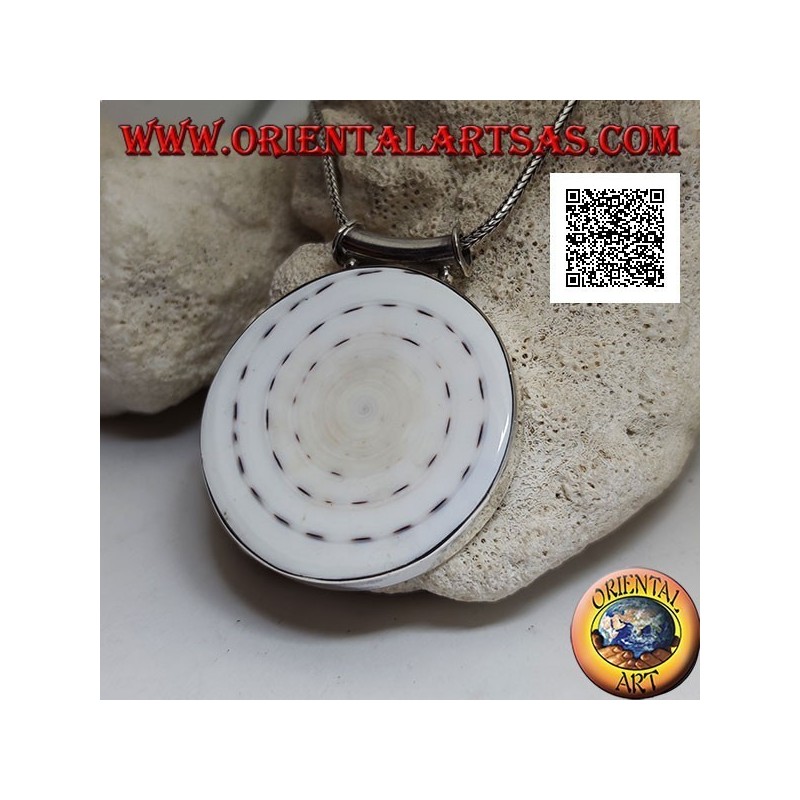 Pendentif en argent avec grand gastéropode rond sur cadre latéral lisse et crochet tubulaire