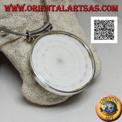 Pendentif en argent avec grand gastéropode rond sur cadre latéral lisse et crochet tubulaire