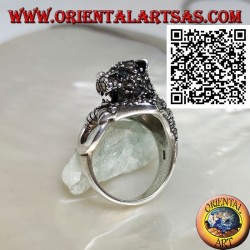 Half-length tiger silver ring studded with marcasite grabbing a ring