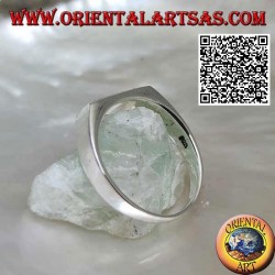 Silver ring with horizontal rectangular mother of pearl close to the edge on a smooth setting