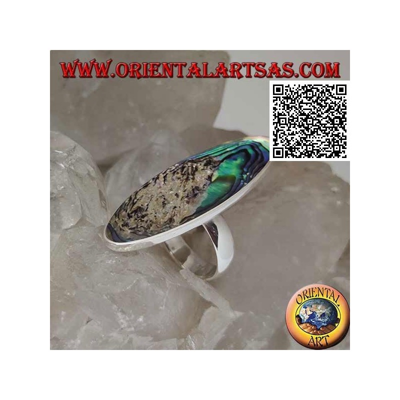 Silberring mit einer länglichen ovalen Paua-Schale (Abalone) mit einer glatten Kante (13)