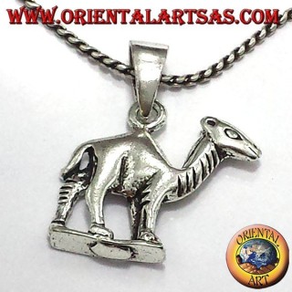Colgante en plata Dromedario