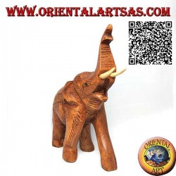 Sculpture of a Thai elephant with trunk up and protruding tusks, in teak wood (21cm)