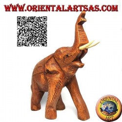 Escultura de elefante tailandés con trompa hacia arriba y colmillos salientes, en madera de teca (21cm)