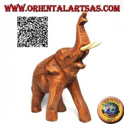 Sculpture of a Thai elephant with trunk up and protruding tusks, in teak wood (21cm)