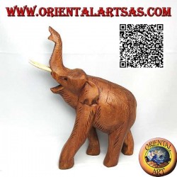 Sculpture d'éléphant thaïlandais avec trompe relevée et défenses saillantes, en bois de teck (21cm)