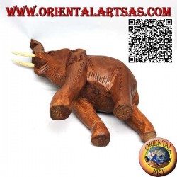 Sculpture of a Thai elephant with trunk up and protruding tusks, in teak wood (21cm)