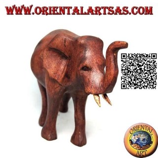 Scultura di un elefante africano in passeggiata con proboscide in su, in legno di suar (12 cm)