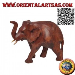 Sculpture of an African elephant walking with trunk up, in suar wood (12 cm)