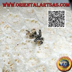 Mini boucle d'oreille en argent, Pegasus, le cheval ailé, sur le profil gauche