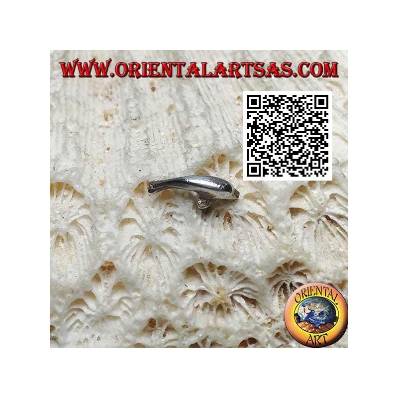 Mini silberner Ohrring, der Delphin