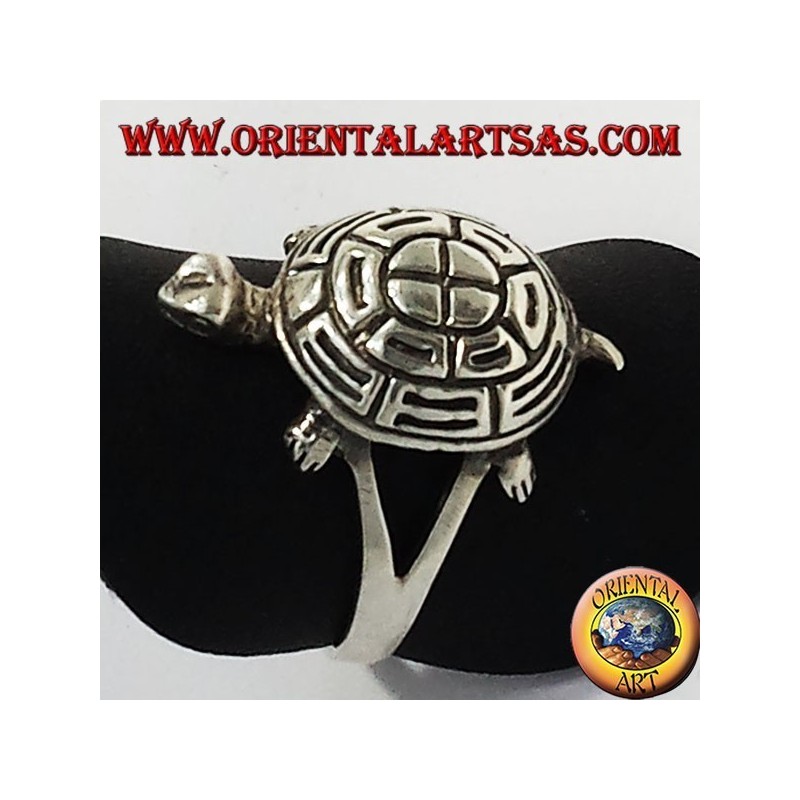 Turtle silver ring