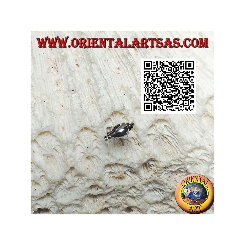 Mini pendiente de plata, la concha de gasterópodo