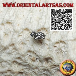 Mini pendiente de plata, la tortuga de perfil