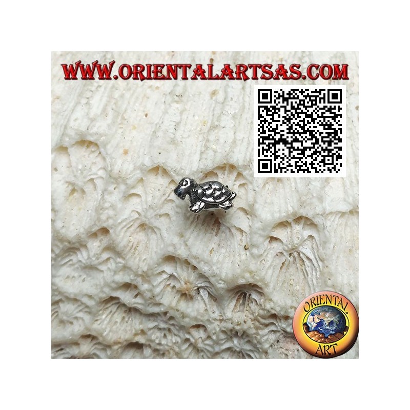 Mini pendiente de plata, la tortuga de perfil