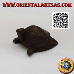 Caretta sea turtle in 5 cm...