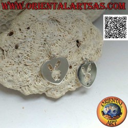 Orecchini in argento...