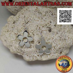 Orecchini in argento...