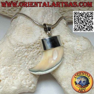 Grand pendentif corne de nacre Calliostoma en argent