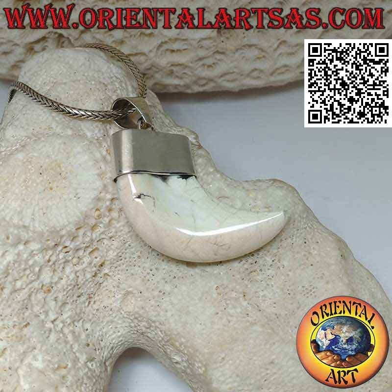 Grand pendentif corne de nacre Calliostoma en argent