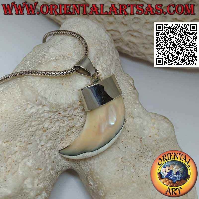 Großer Calliostoma Perlmutt Horn Anhänger in Silber
