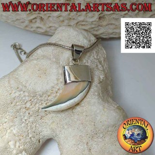 Pendentif pointe en corne de nacre Calliostoma en argent
