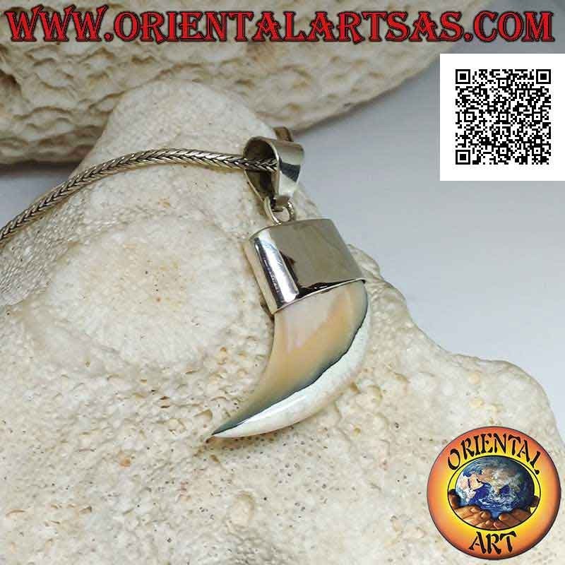 Ciondolo in argento a corno di madreperla Calliostoma appuntito