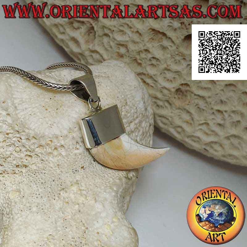 Pointed Calliostoma mother-of-pearl horn pendant in silver