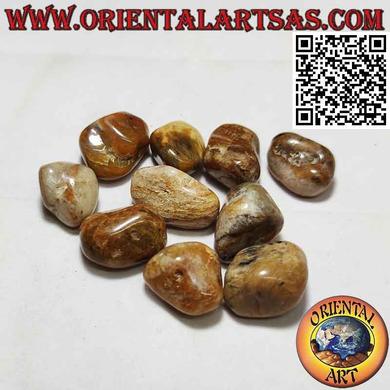 Legno Fossile Burattato