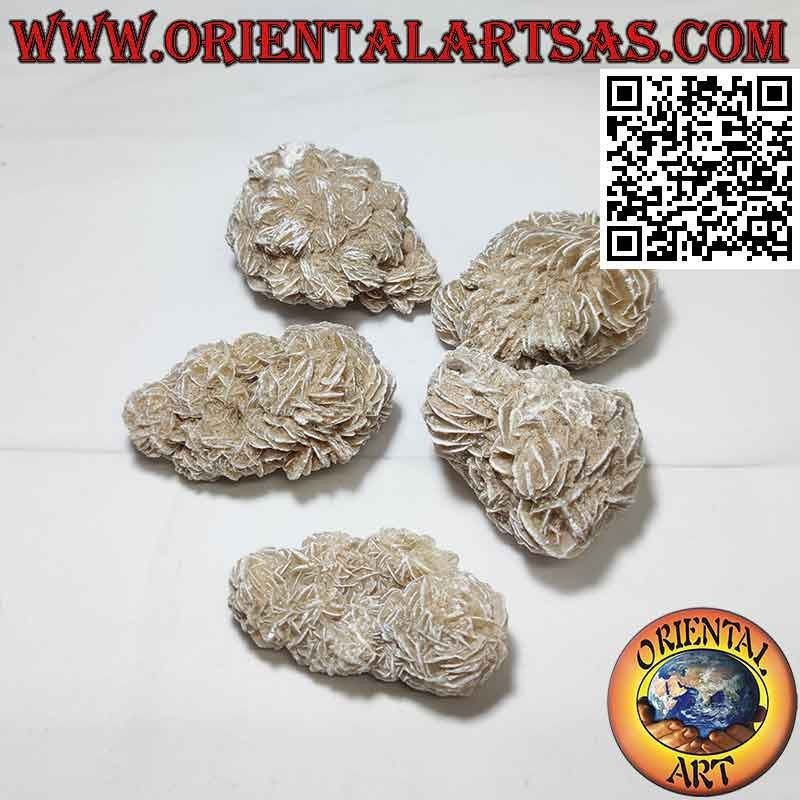 Rosa del Deserto (40 g→50 g)
