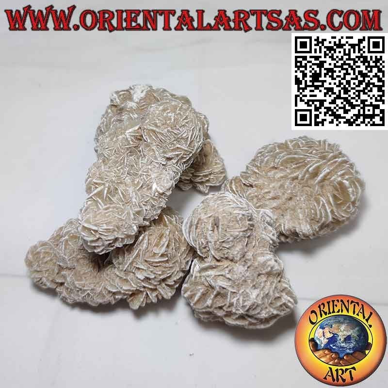 Rosa del desierto (80 g → 100 g)