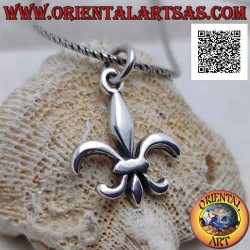 Smooth silver pendant in...