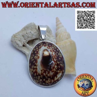 Silver pendant with "Ear of the Sea" shell set on a smooth silver frame