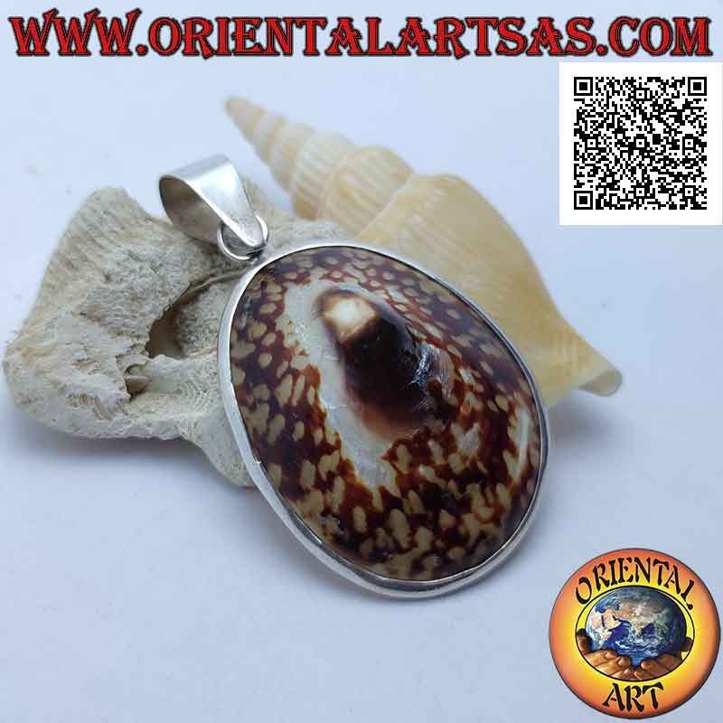 Colgante de plata con concha "Oreja del mar" engastada en un marco plateado liso