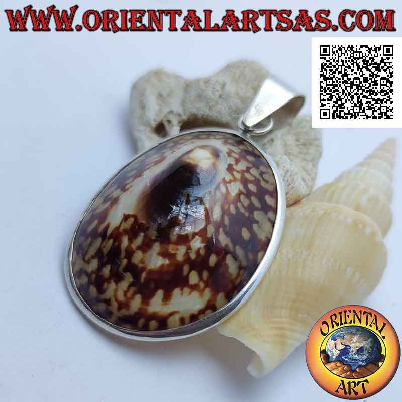Colgante de plata con concha "Oreja del mar" engastada en un marco plateado liso