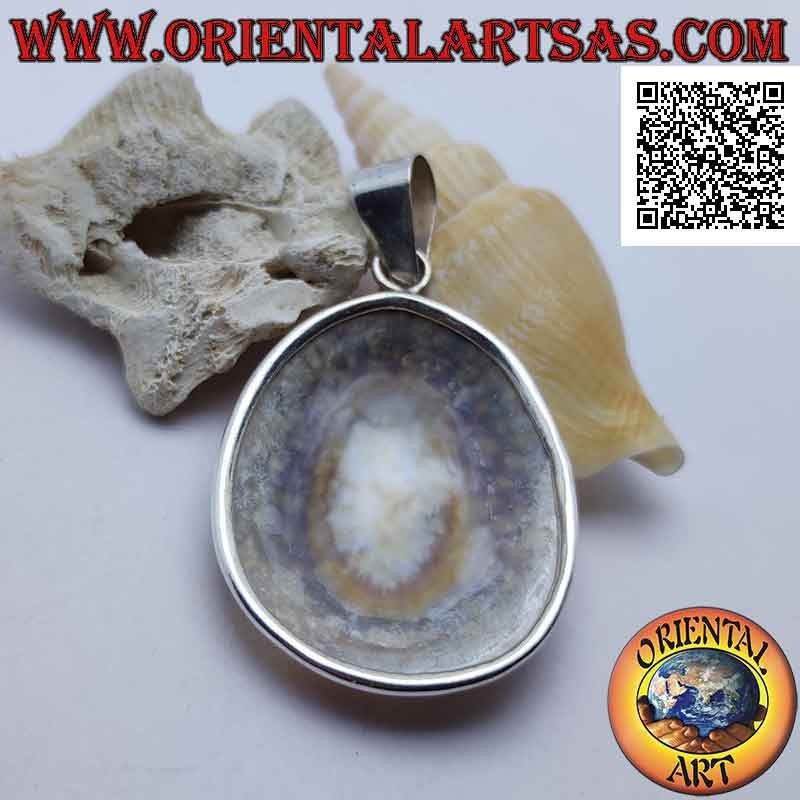 Silberanhänger mit "Ear of the Sea" -Schale auf einem glatten Silberrahmen