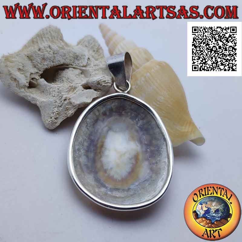 Silberanhänger mit "Ear of the Sea" -Schale auf einem glatten Silberrahmen