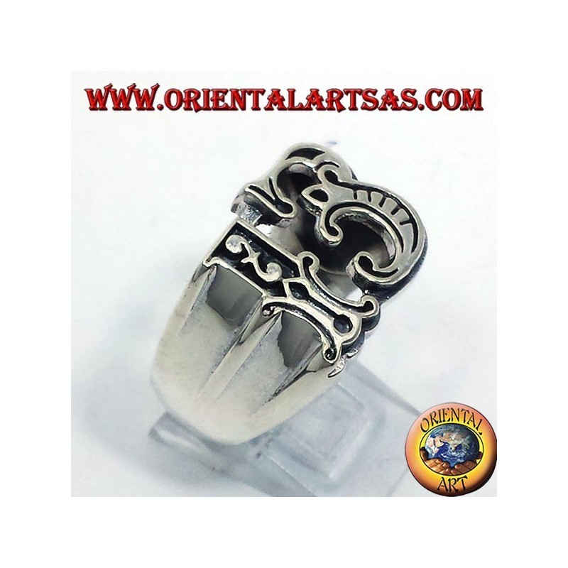 anello tredici