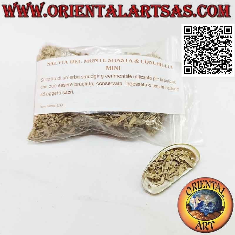 Shamanic Incense - Chopped Smudge of White Sage with mini shell