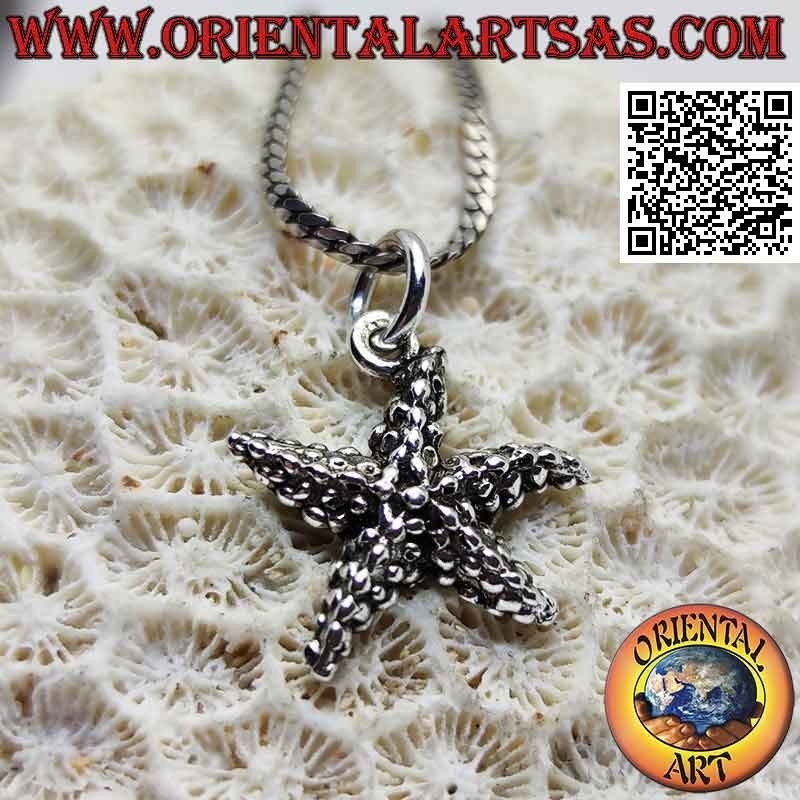 Pendentif en argent, étoile de mer "Asteroidea" avec pédicelles en relief