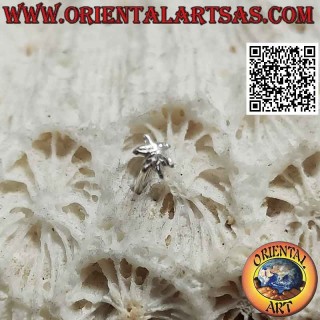 Mini earring / nose pin in silver, the six-pointed star