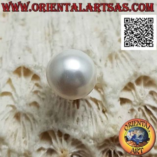 Mini pendiente de plata, la perla plana detrás (8 mm Ø)