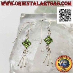 Boucles d'oreilles à levier...