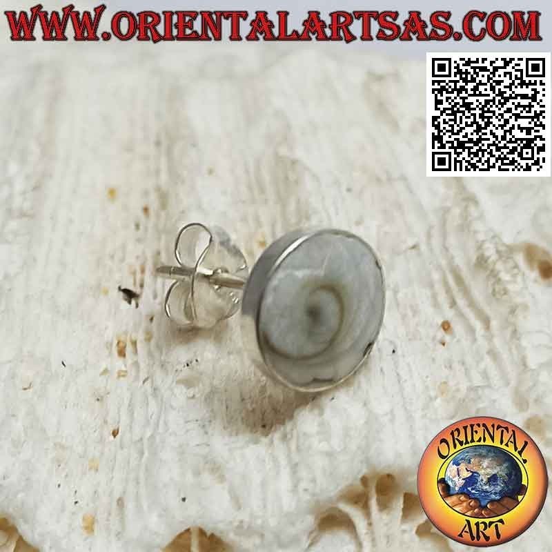 Mini pendiente de plata, la concha redonda "ojo de Santa Lucía" (b)