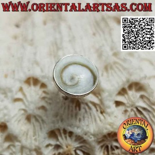 Mini silver earring, the round shell "eye of Saint Lucia" (b)