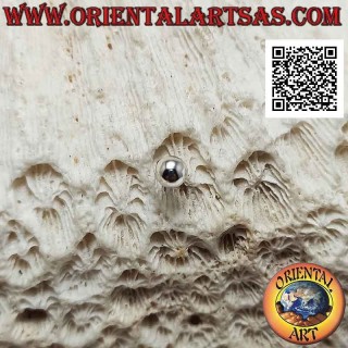Mini-Ohrring in Silber, die glatte flache Halbkugel auf der Rückseite (4 mm)