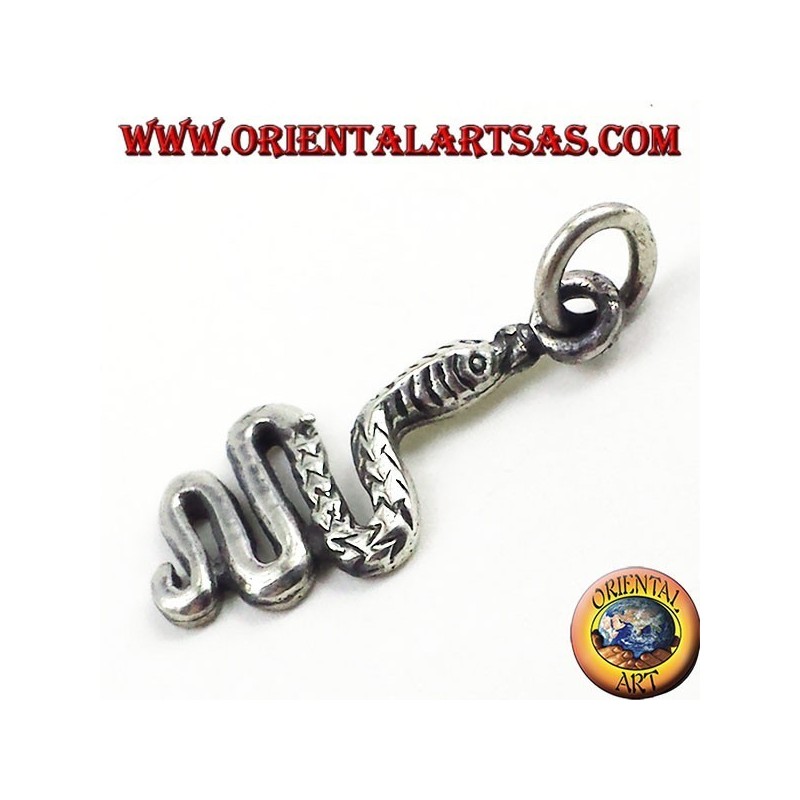 pendiente de la serpiente en plata