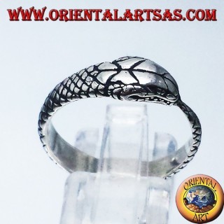Silver ring, Ouroboros